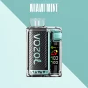 VOZOL VISTA 20000 Miami Mint